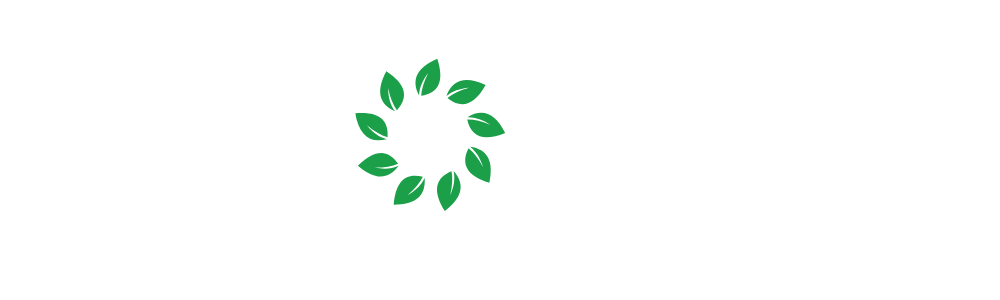 LOGO TSOHAR_blanc_vert_sans_fond